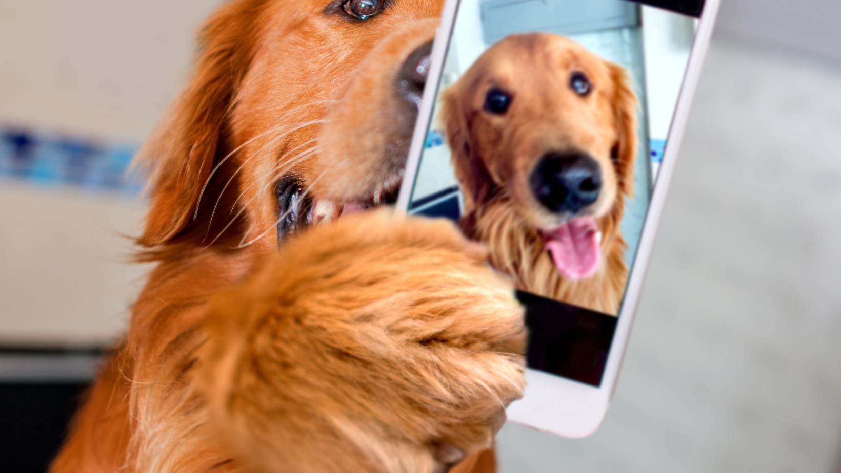 Co mówi o tobie zdjęcie profilowe na Facebooku?