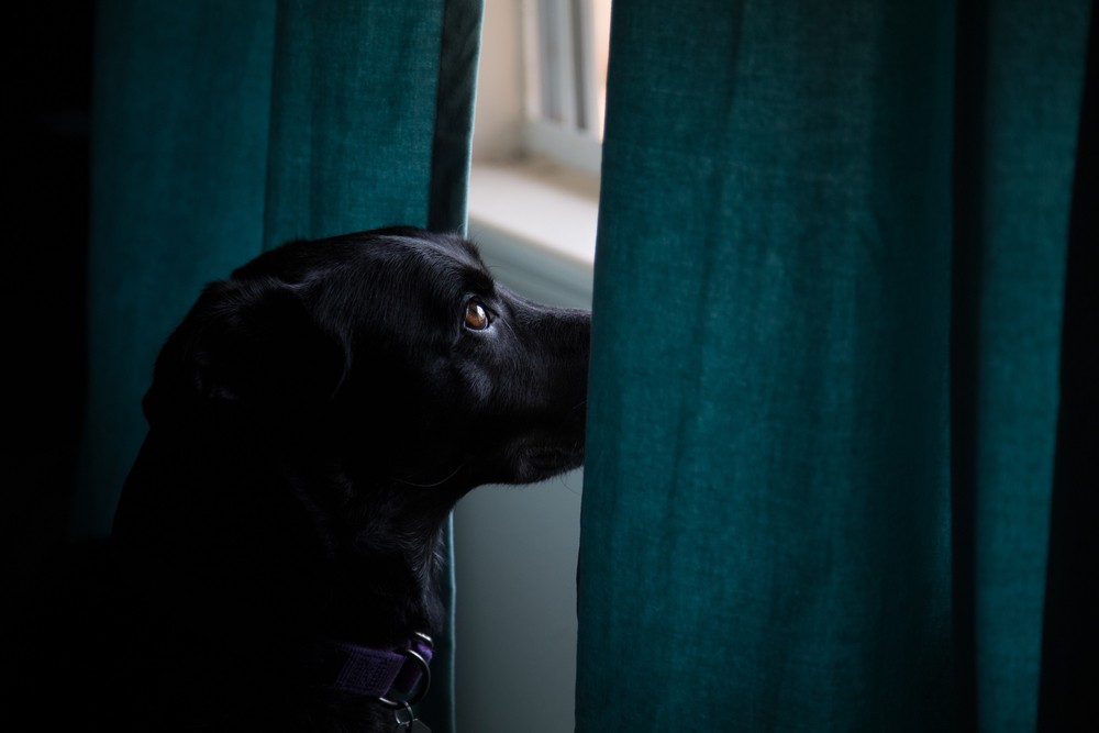 …nawet jeśli wszystko jest stracone i przepadło na zawsze, pozostaje …