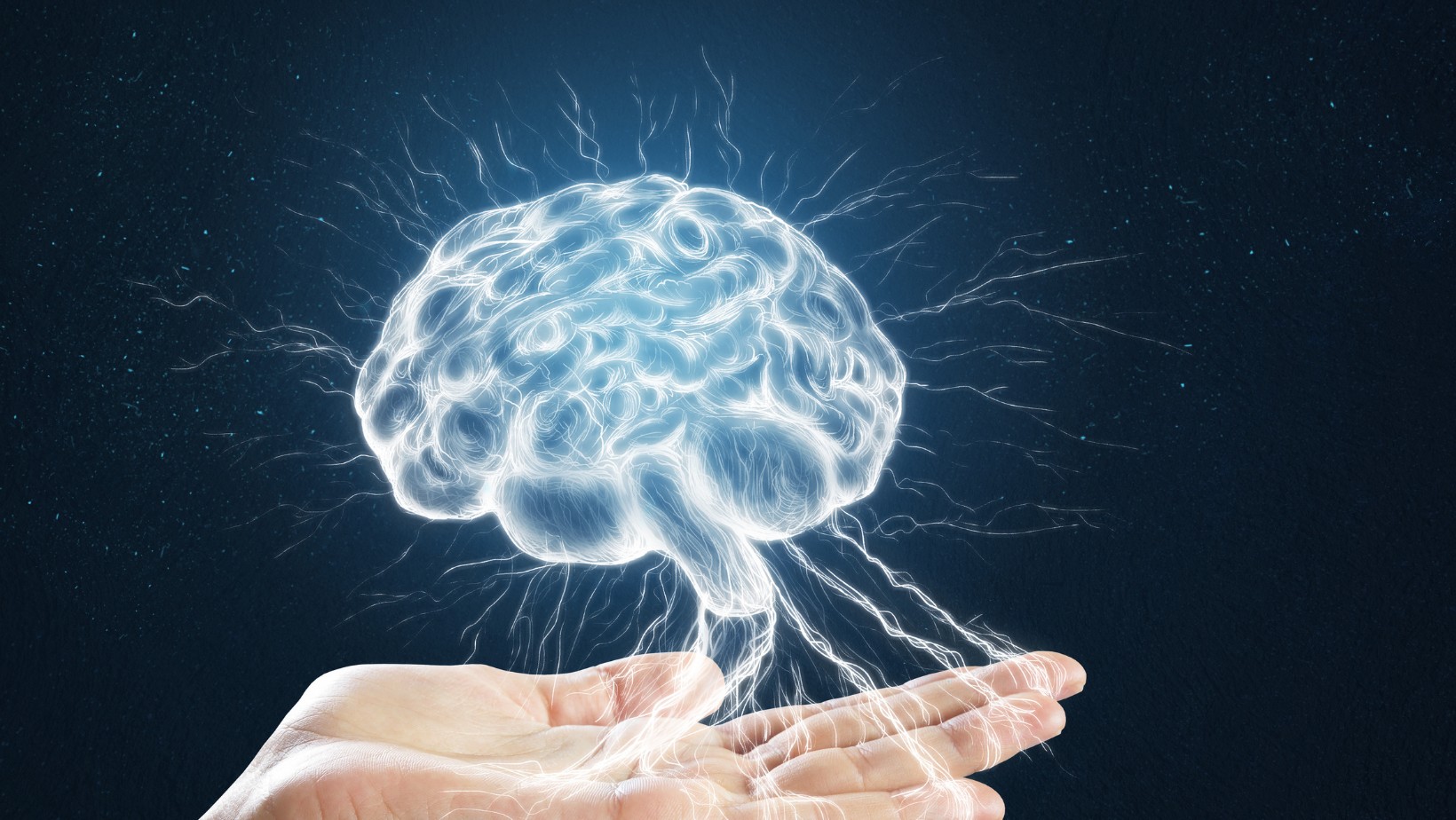 Gdyby ludzki mózg był tak prosty, że moglibyśmy go zrozumieć…”