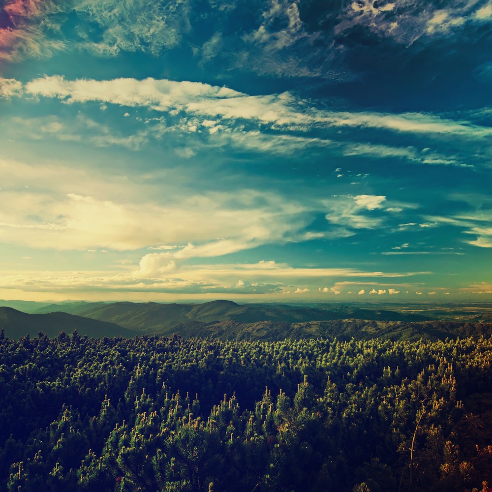 Najstraszniejszy ze wszystkich sekretów – przeszłość, o której próbujemy zapomnieć.