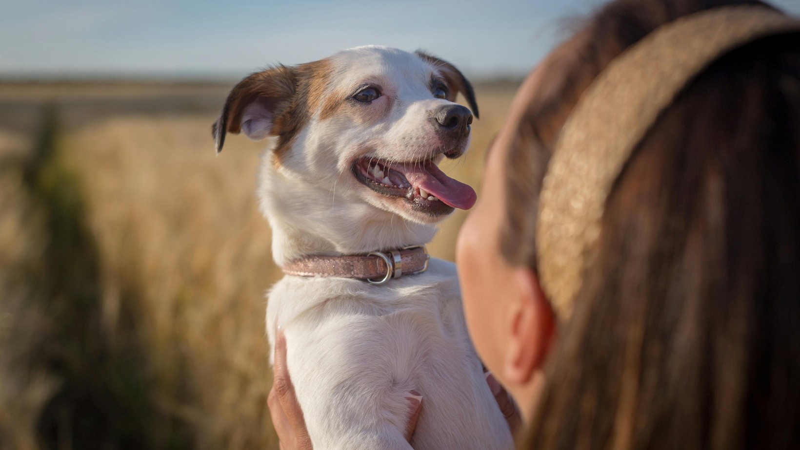 Nowe przepisy dotyczące pochówku?! Wspólne groby dla ludzi i ich zwierząt