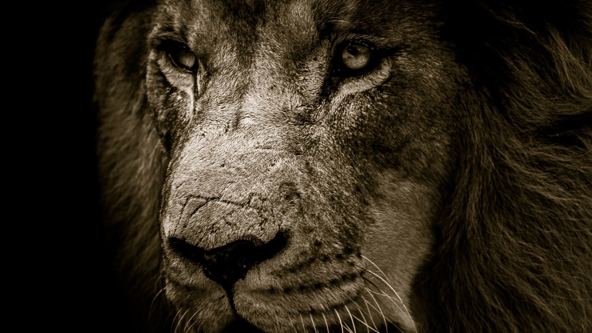 Cytaty o sile, które przydadzą się na cięższe dni