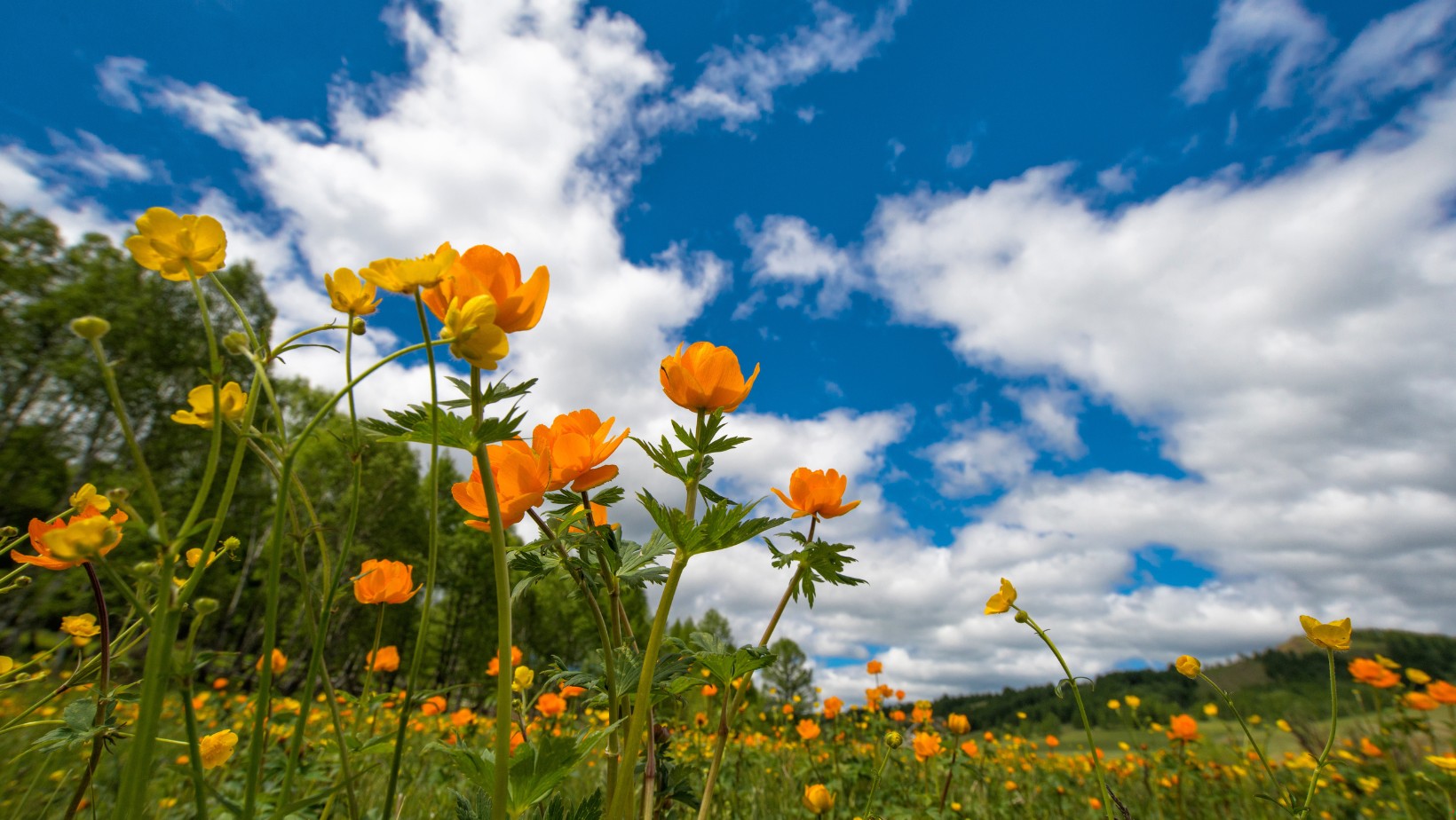 Zdjęcie Gwałtowne ocieplenie. Będzie jeszcze cieplej #1