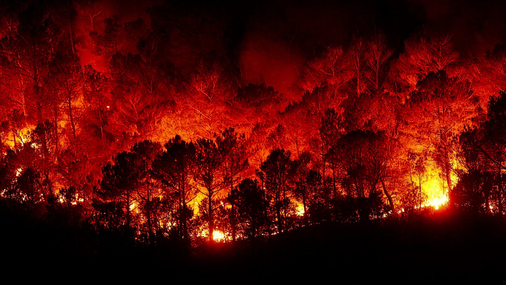 Z ostatniej chwili! Płonie grecka wyspa! Wydano ważny apel!