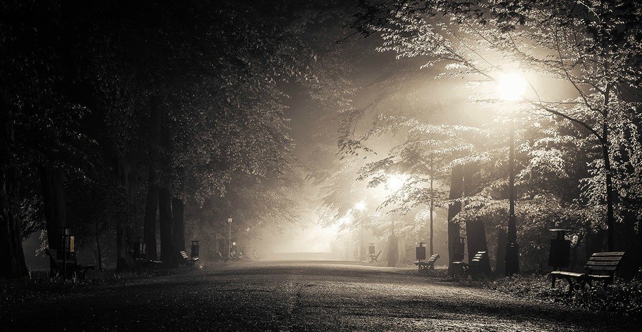 Samotność to dziwna rzecz. Zakrada się cicho i niepostrzeżenie. Siada …