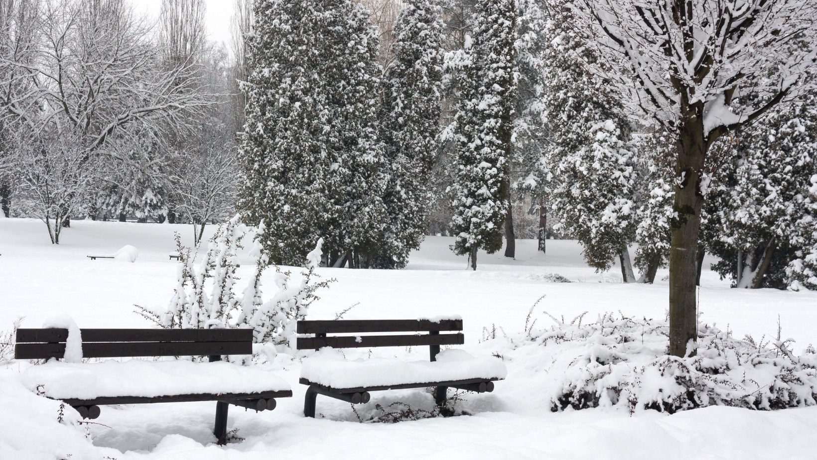 Aż -32 stopnie Celsjusza w Polsce. Kiedy przyjdzie ocieplenie?