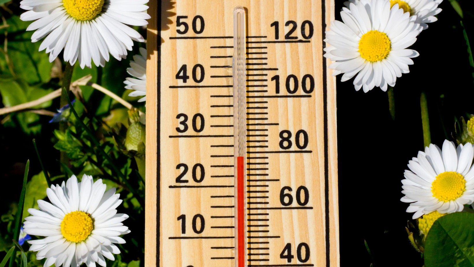 Najnowsza prognoza pogody na majówkę 2024! Czy czeka nas ciepły długi weekend?