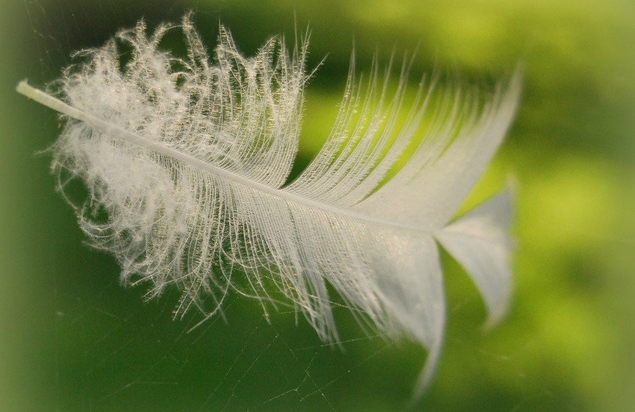 Jest coś świętego w człowieku, który nie zostawia potomstwa, a …
