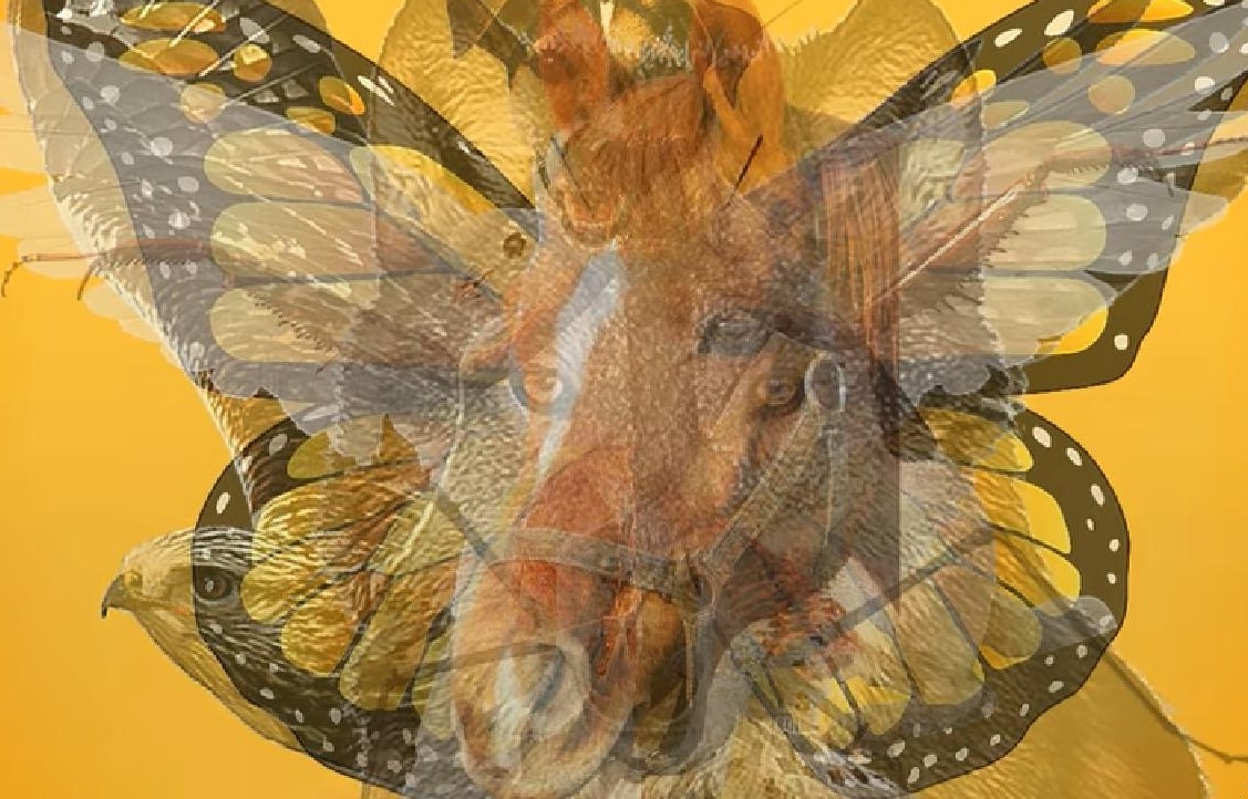 Wydaje ci się, że znasz swój charakter? Ten test psychologiczny zna prawdę!