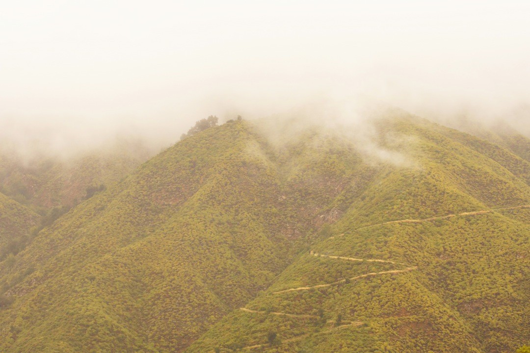 Łaska nie jest czymś co można wymusić, ona spada z …