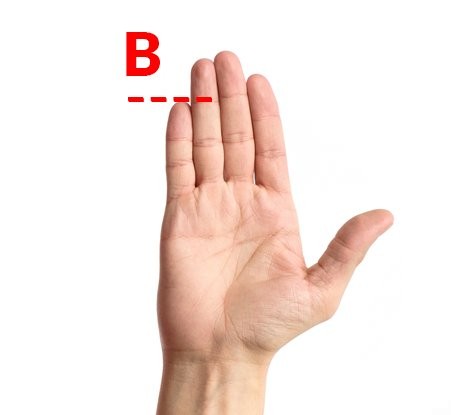 Zdjęcie Jaką długość ma twój mały palec? To może określić twoją osobowość #2