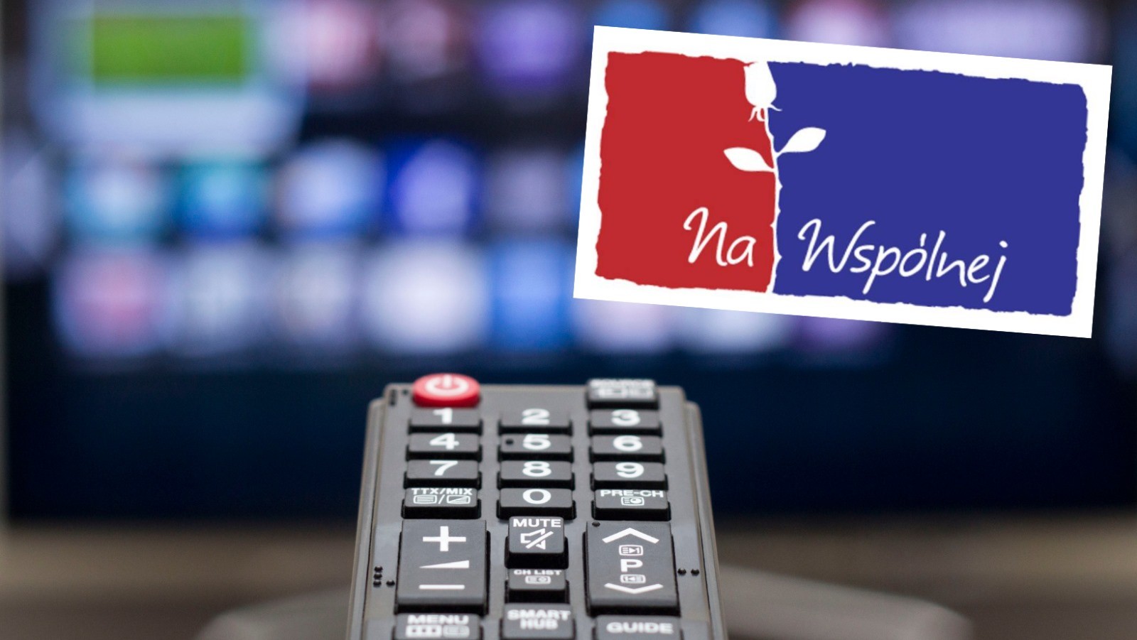 Zdjęcie Serial "Na Wspólnej" znika z anteny? Złe wieści dla widzów! #1