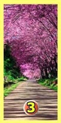 Zdjęcie Psychotest – dowiedz się kilka ciekawostek na swój temat wybierając jedną z dróg! #4