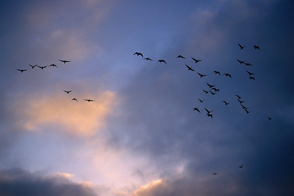 Ten, kto skacze do nieba, może upaść, to prawda. Ale …