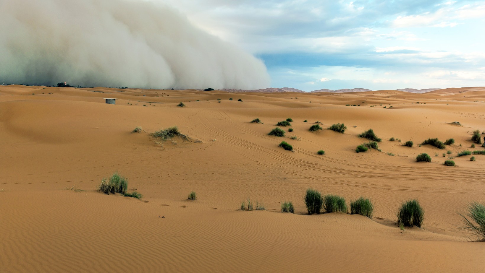 Pył saharyjski nad Polską! Te osoby muszą uważać!