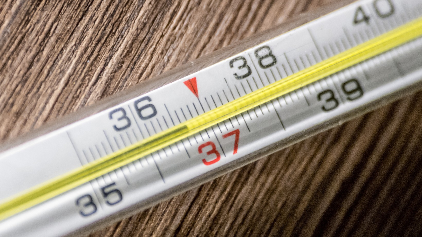 Zdjęcie Czy 36,6°C to już mit? Sprawdź, jaka jest nowa norma temperatury! #1