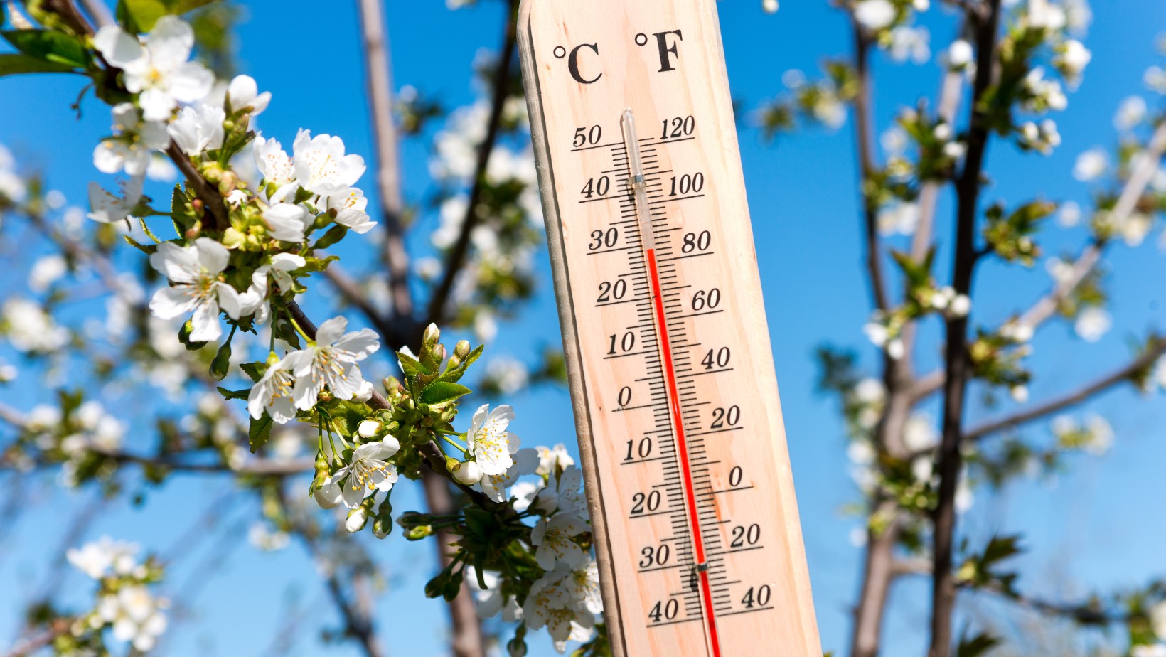 Jaka pogoda na Majówkę 2025? Prognoza IMGW nie zostawia wątpliwości