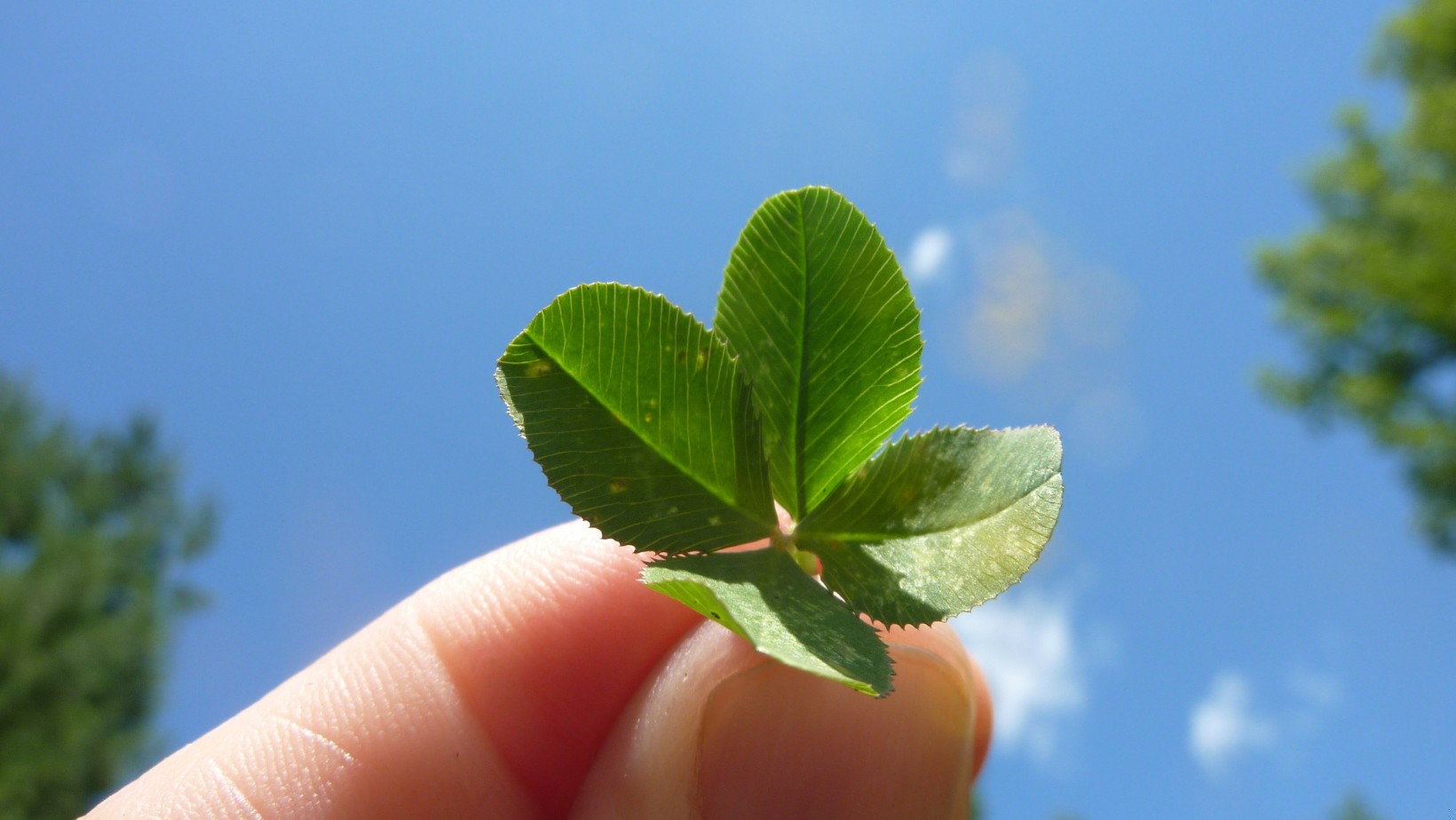 Niezwykłe myśli, które zmienią Twój pogląd na szczęście!
