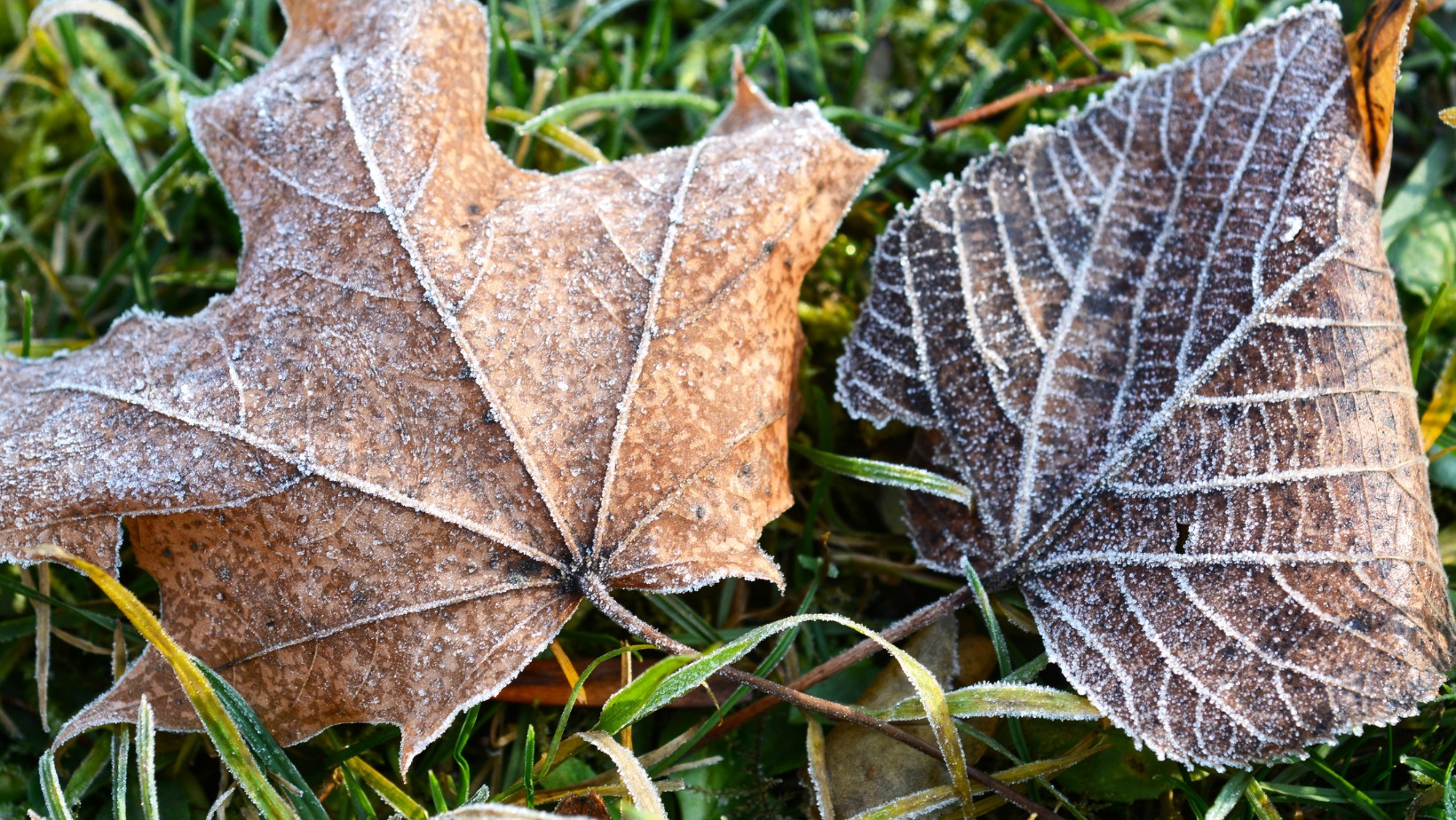 Zdjęcie Nadchodzi załamanie pogody! To zacznie się już za chwilę! #1