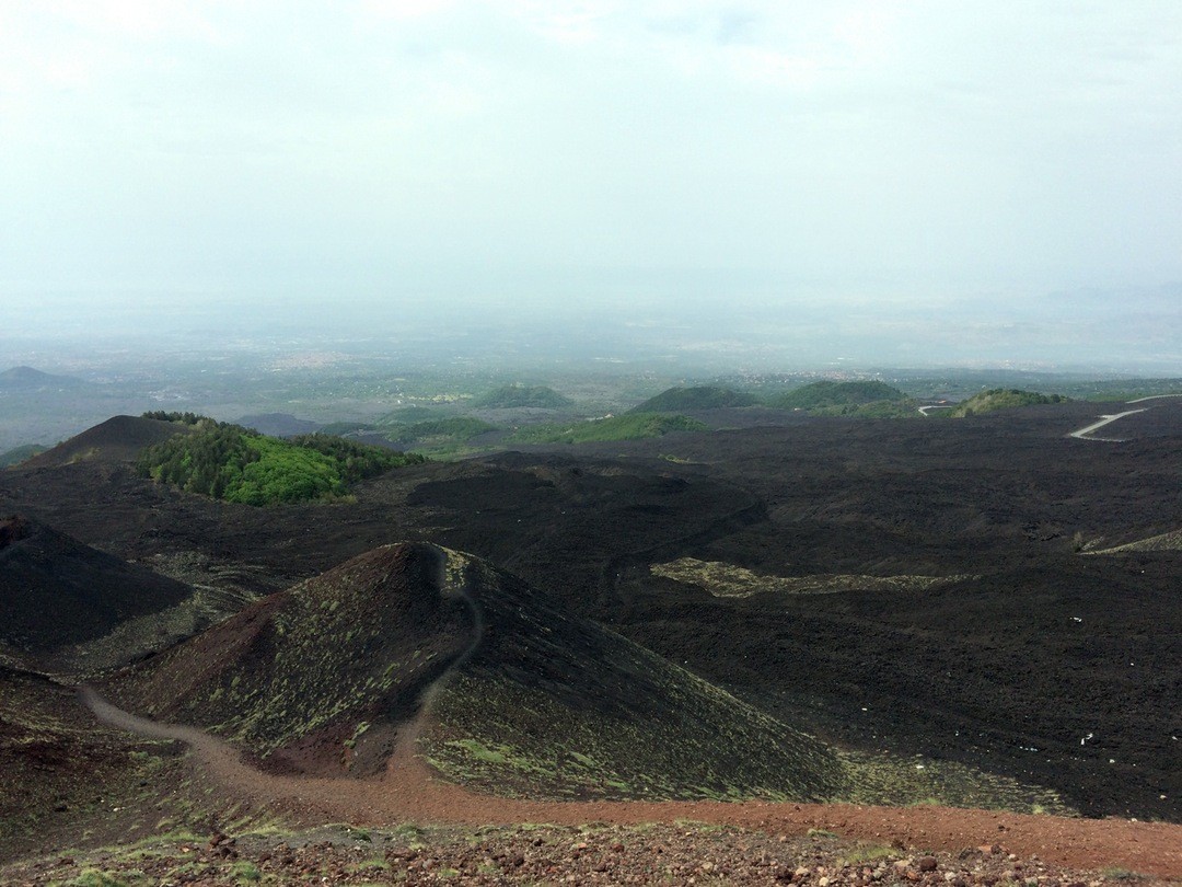 Tylko zmysły mogą uleczyć duszę, tak jak dusza leczy zmysły.