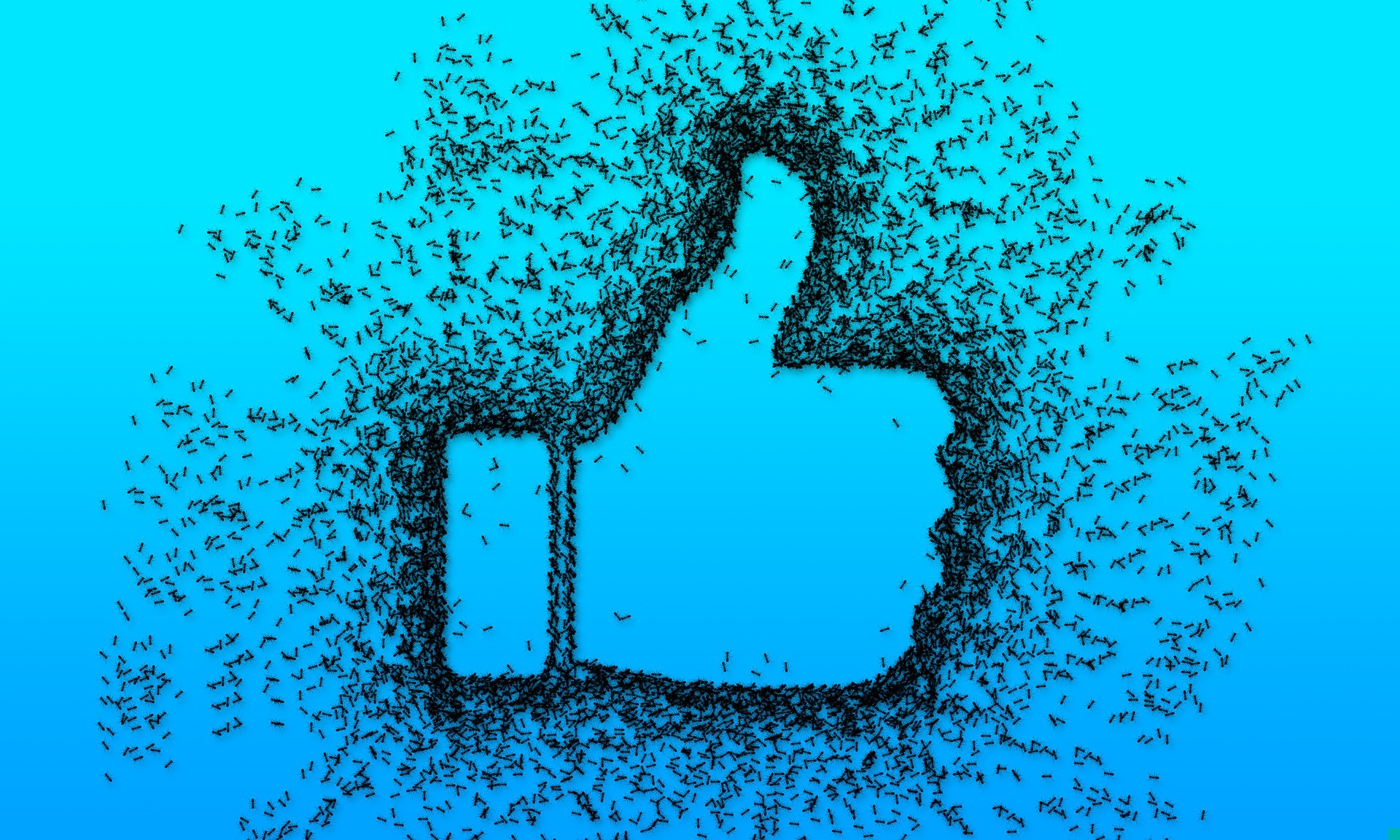 Pogódź się z samym sobą