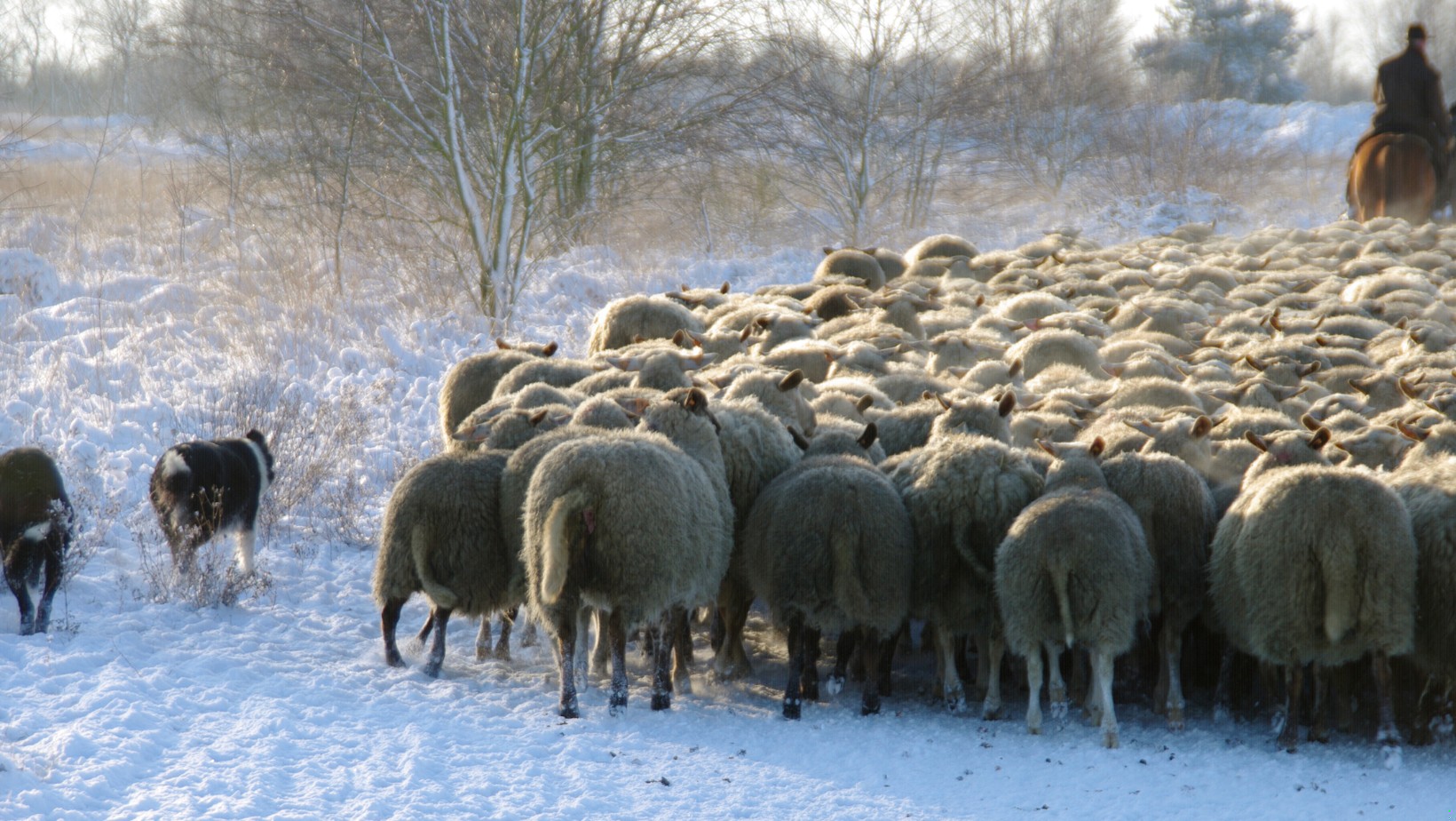 Ten kraj ogłosił stan klęski żywiołowej! Wielki kryzys w sektorze handlowym?!