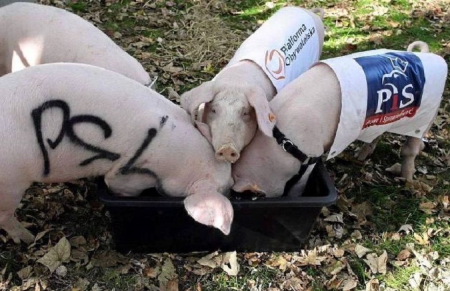 Rano zlinczowali pracownika rzeźni Brutalnie kroił mięso na porcje A …