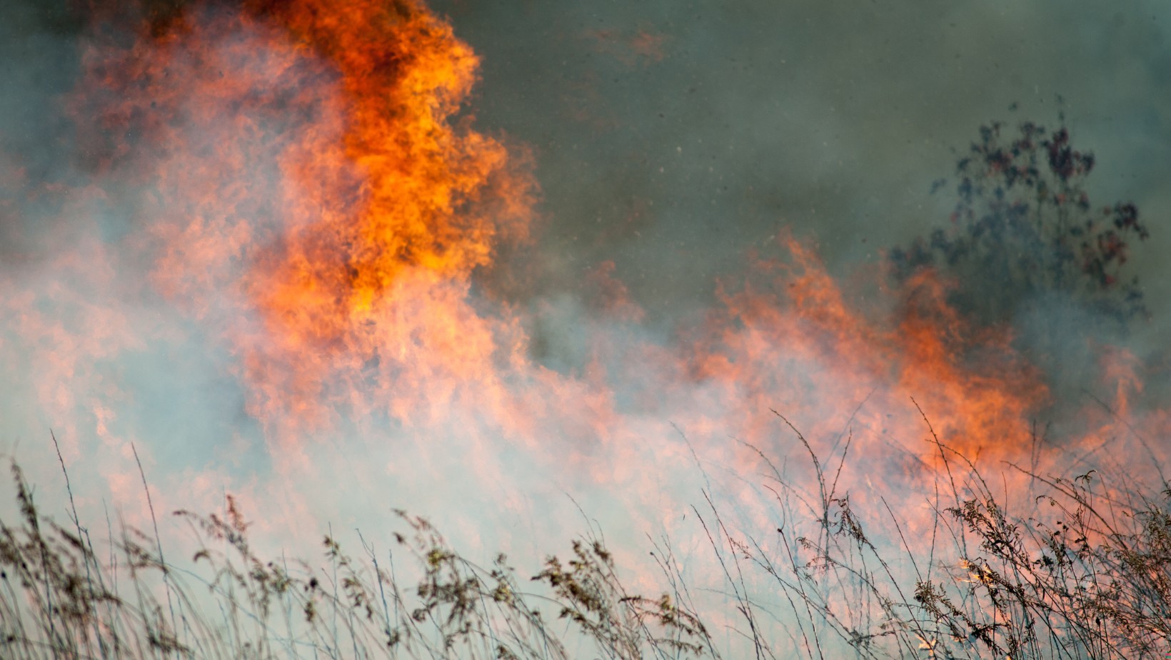 Turcja płonie! Dramatyczne sceny z kraju, który pokochali polscy turyści