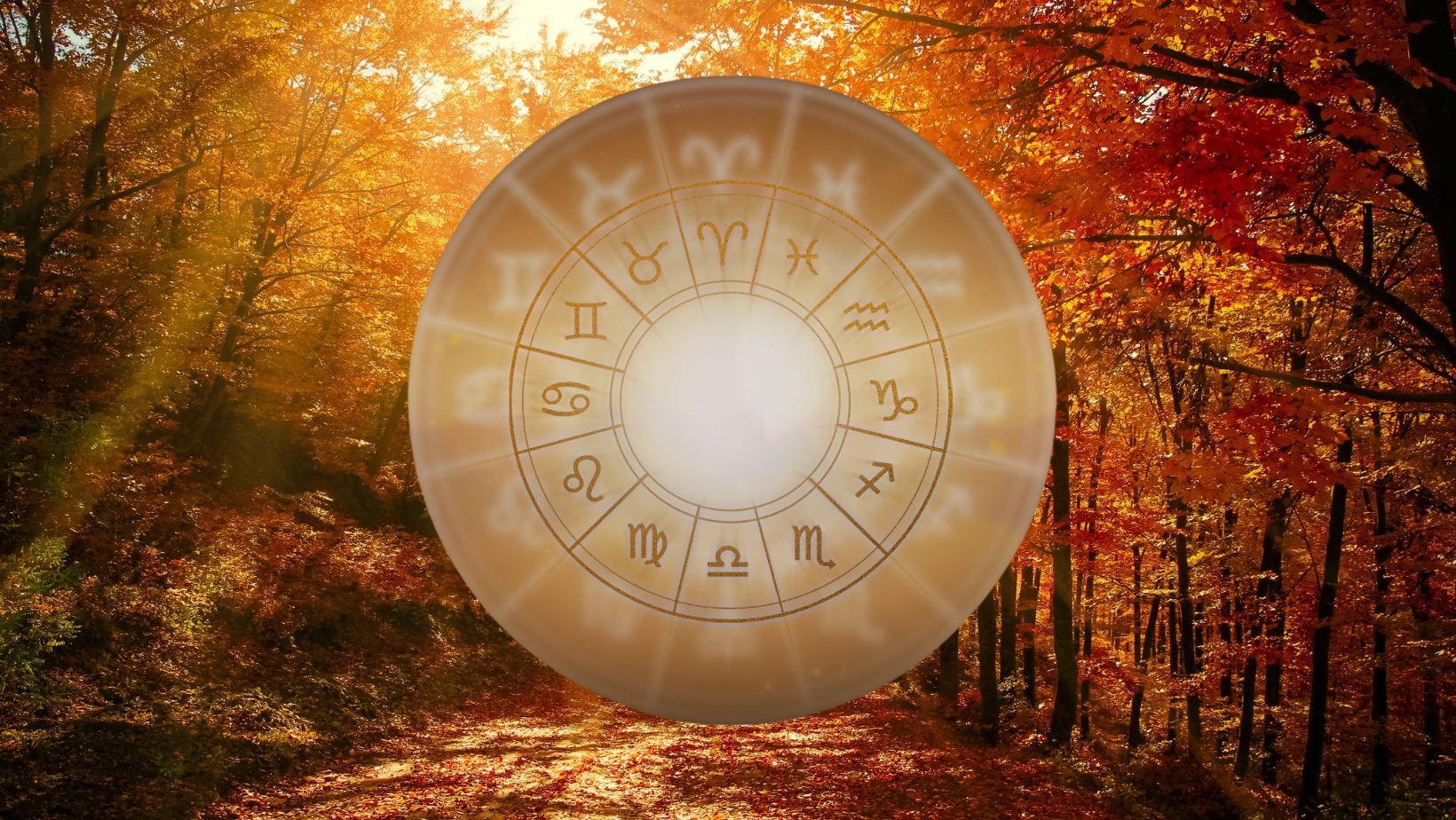 Horoskop na JESIEŃ 2022! Co mówią gwiazdy o miłości, zdrowiu i pieniądzach?