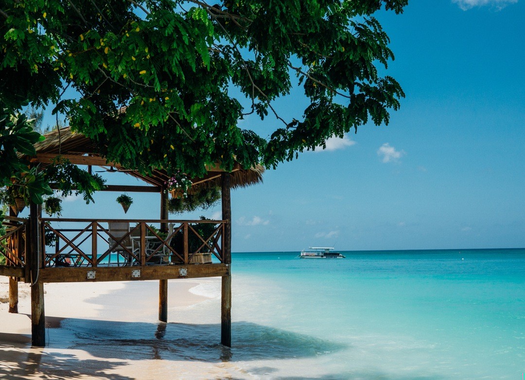 Życie to skok na bungee, ale bez liny – i …