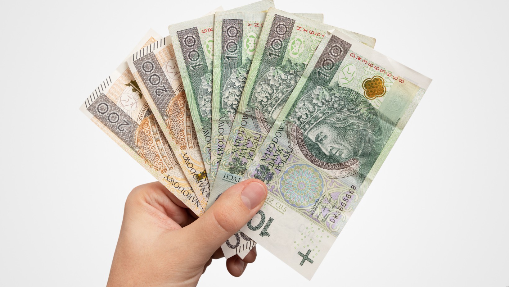 Zdjęcie 800 plus tylko dla pracujących? Nowy pomysł wzbudza emocje #1