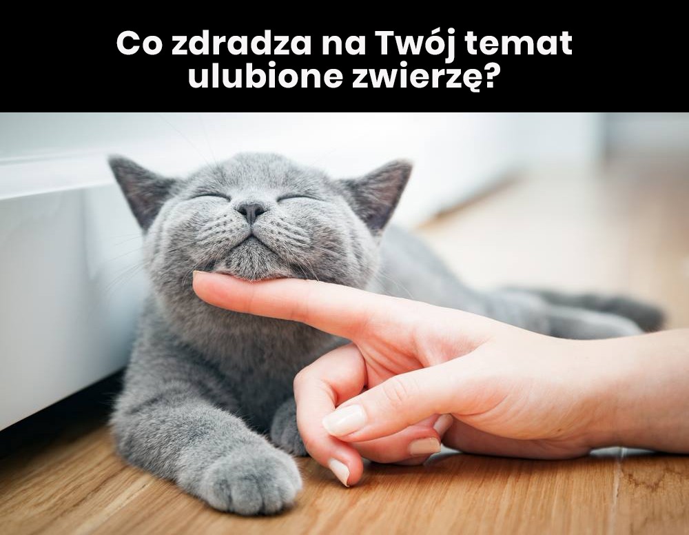 Co zdradza na Twój temat ulubione zwierzę?