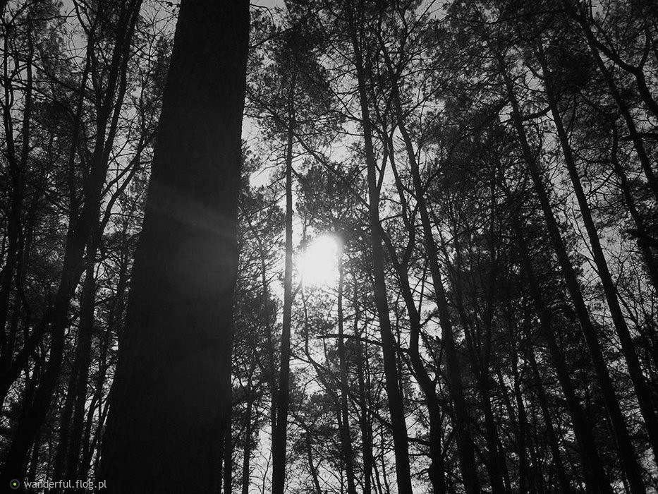 Nigdy nie myśl o sobie źle. Jesteś tylko i aż …