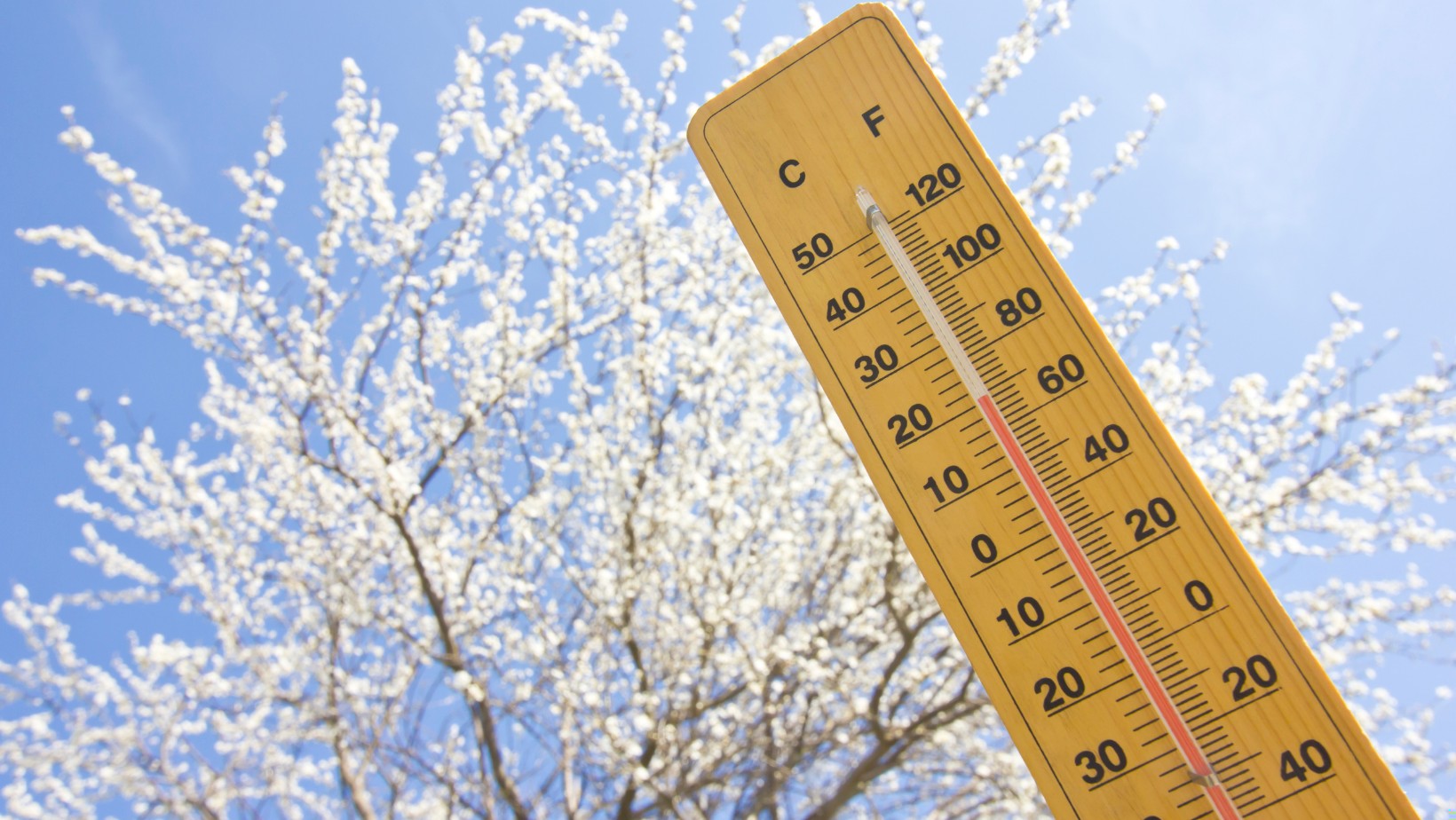 Wiosna tuż za rogiem! Nawet 20°C na termometrach