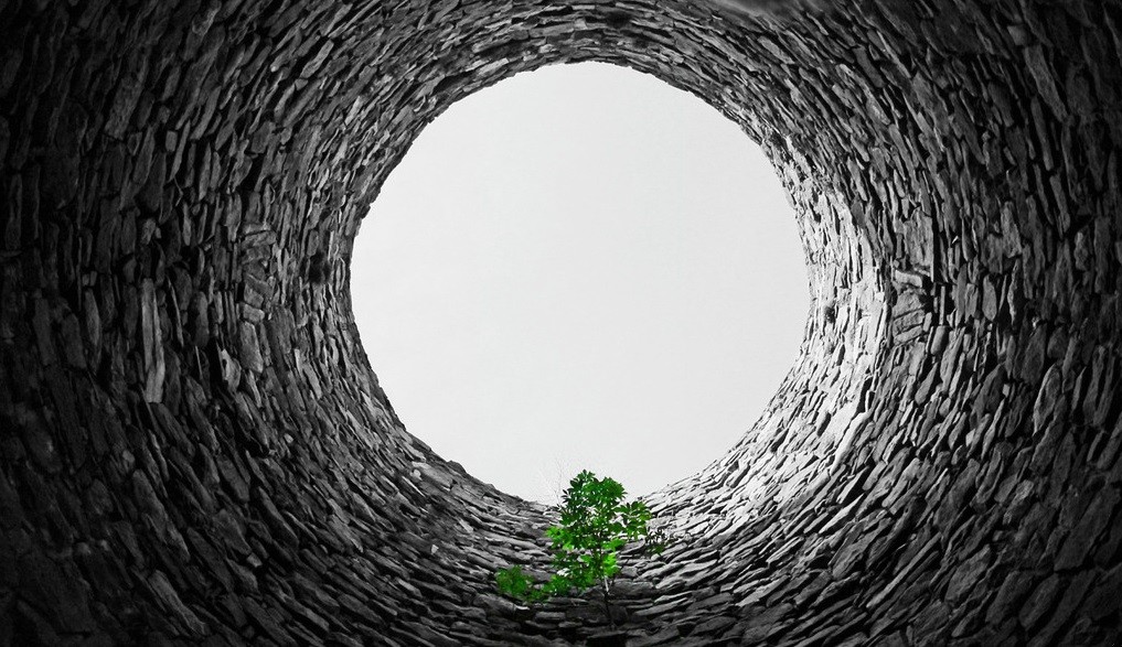 Nadzieją też można żyć. U progu życia i śmierci nie …