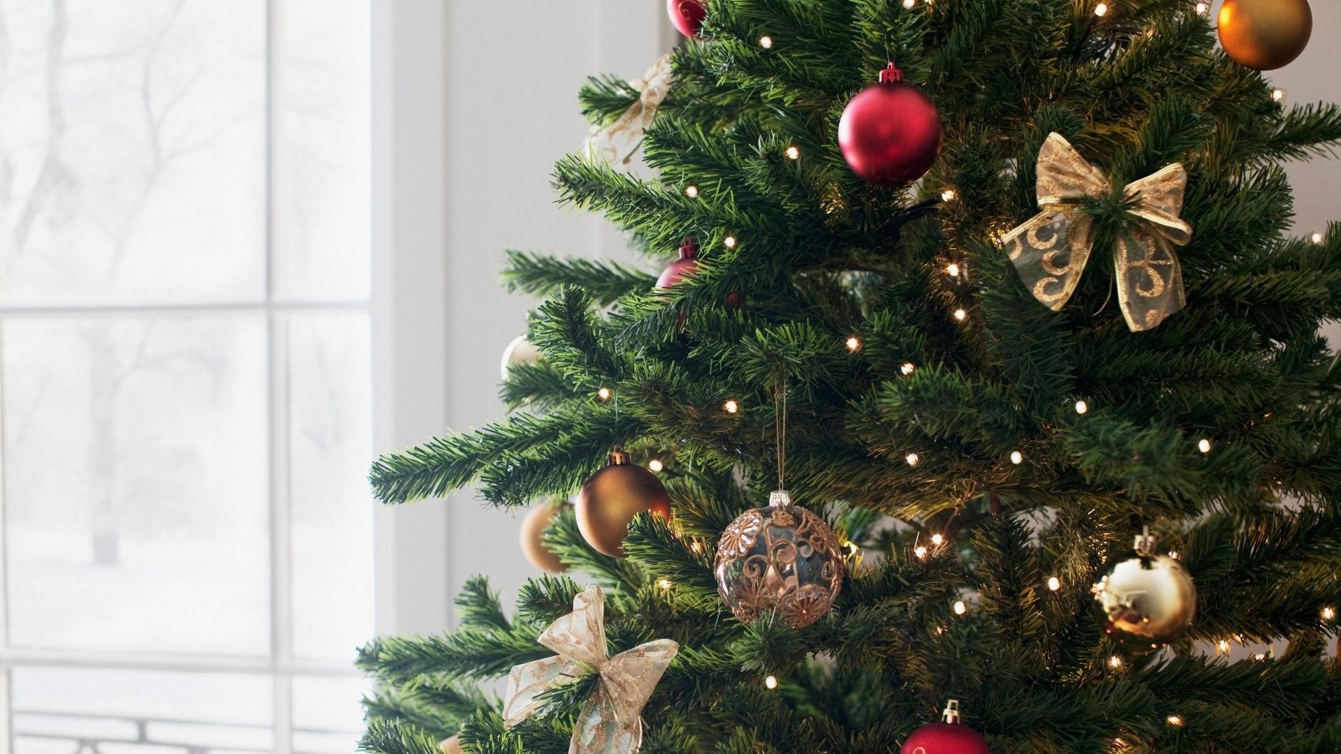 Skąd się wzięła tradycja ubierania choinki na Boże Narodzenie?