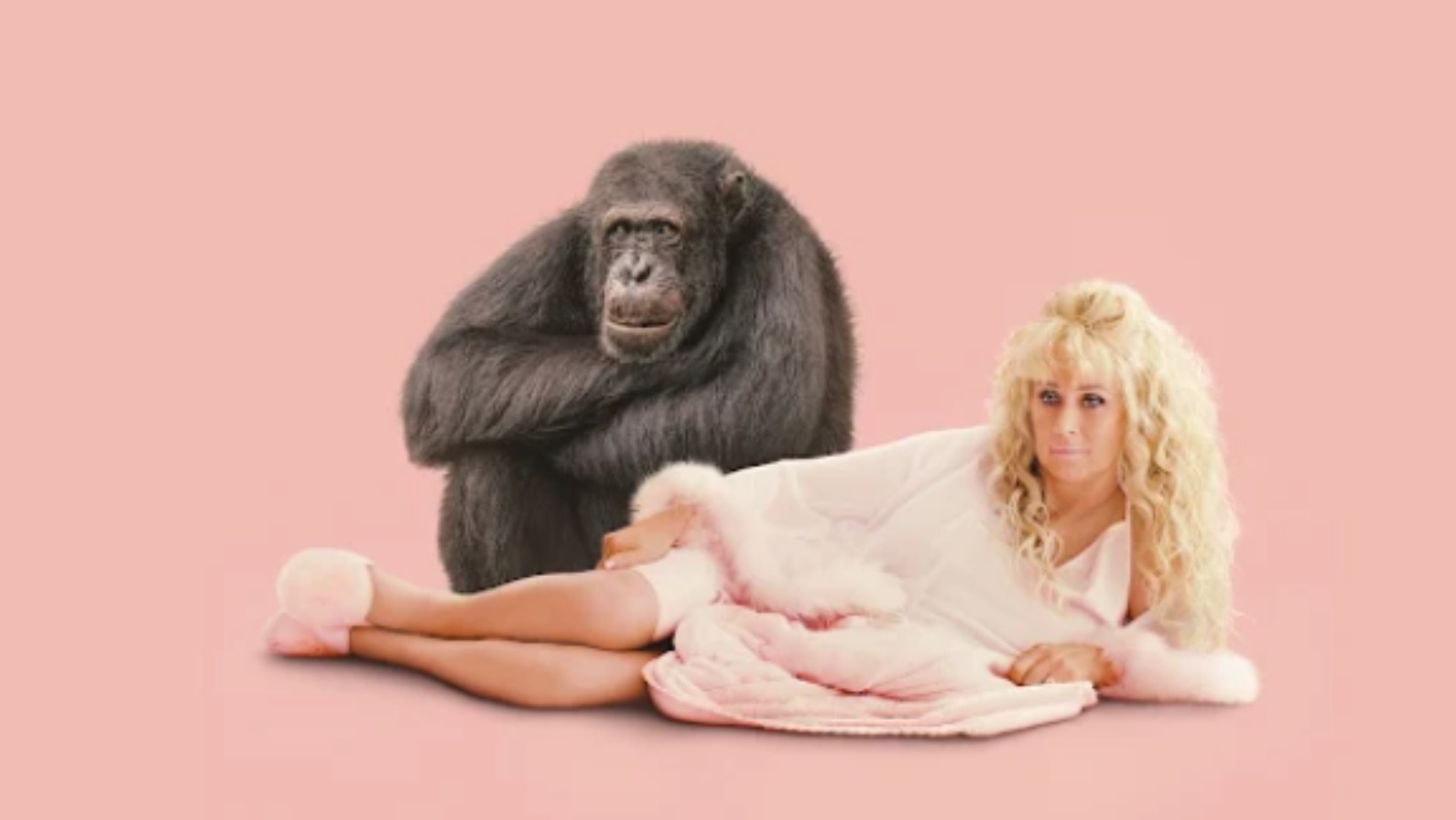 Zdjęcie "Szympans, moja miłość" widzowie pokochali szokujący serial! #1