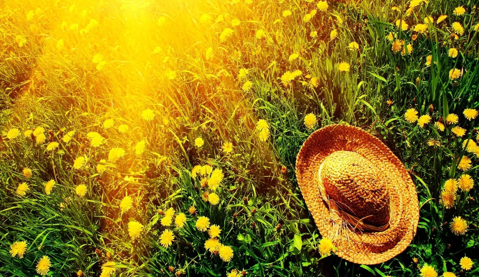 Życie jest snem, a miłość jego śnieniem.