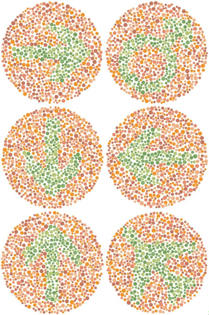 Zdjęcie Jak dobry jest twój wzrok? Rozwiąż test i sprawdź, czy twoje widzenie barw jest prawidłowe #4