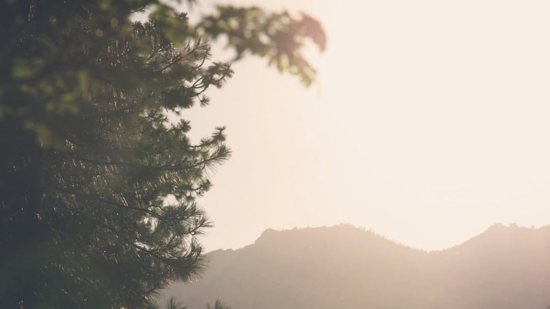 Życie to gra, a ja dostałem przy rozdaniu wyjątkowo słabe …