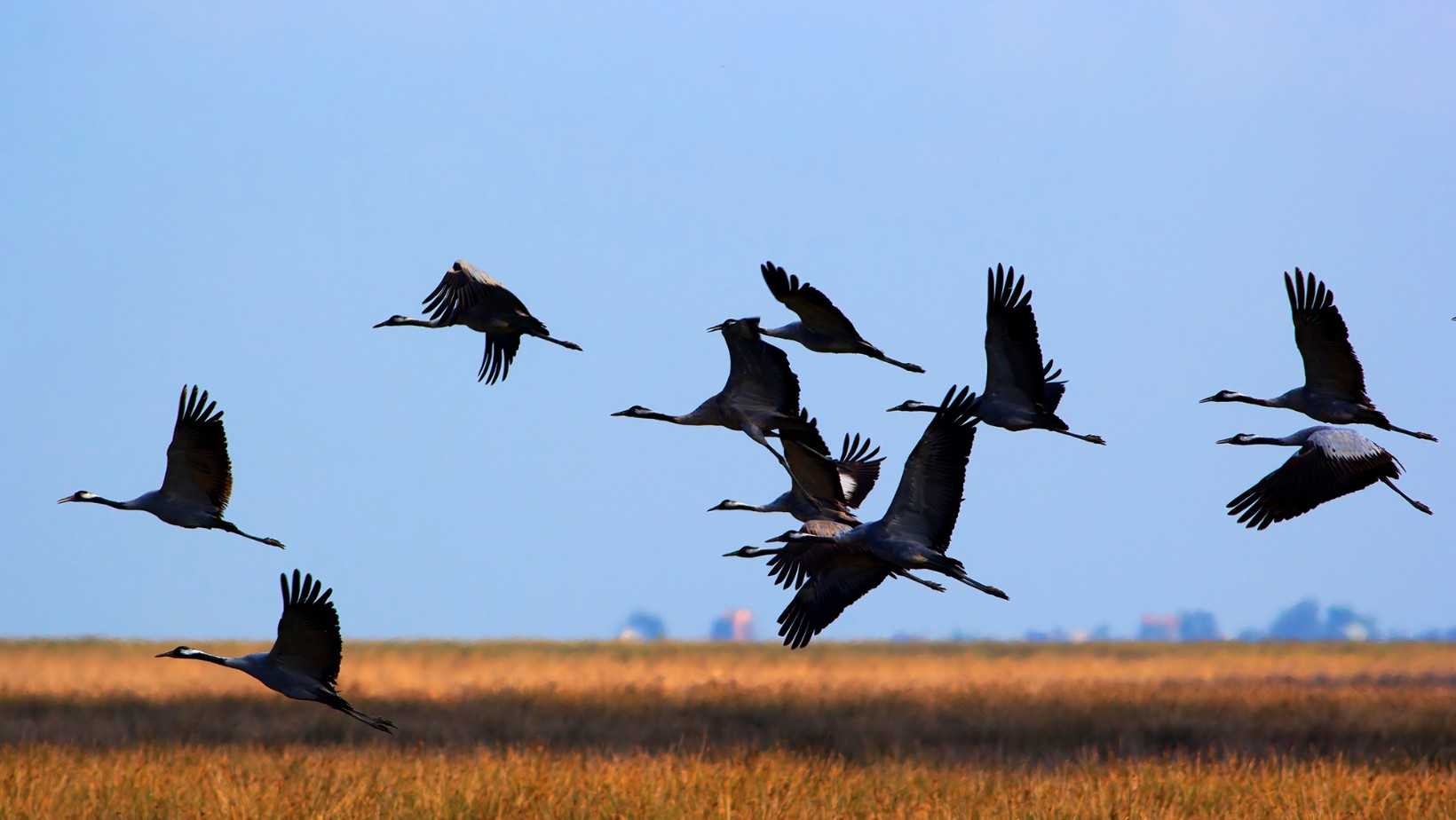 Nie rób tego 19 sierpnia! To może skończyć się źle