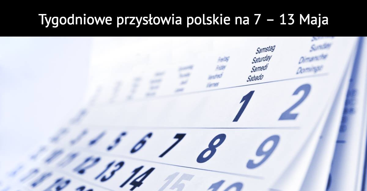 Tygodniowe przysłowia polskie na 7 – 13 Maja!