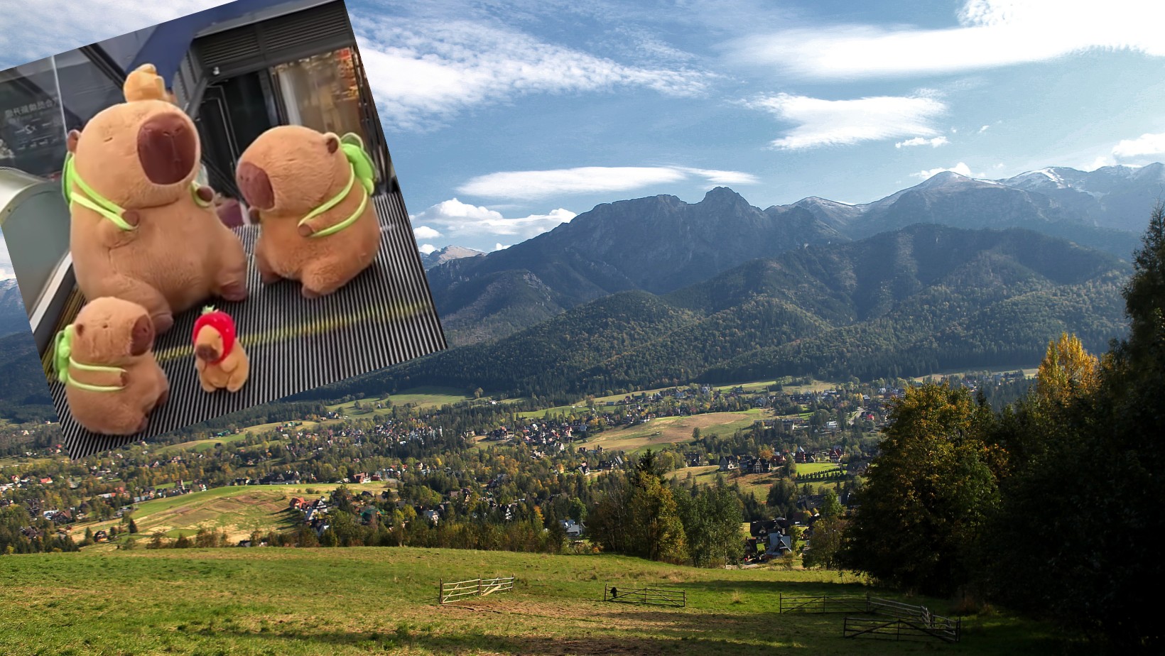 Nowa maskotka podbija Zakopane! Turyści oszaleli na punkcie pluszaka!