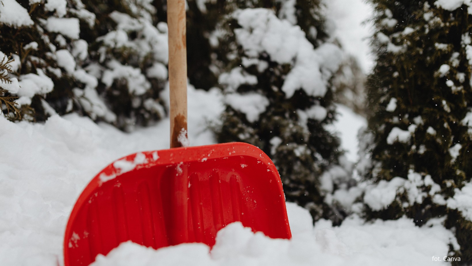 Zdjęcie Nawet 50 cm śniegu w Polsce! IMGW bije na alarm! Sprawdź, które regiony są zagrożone! #1