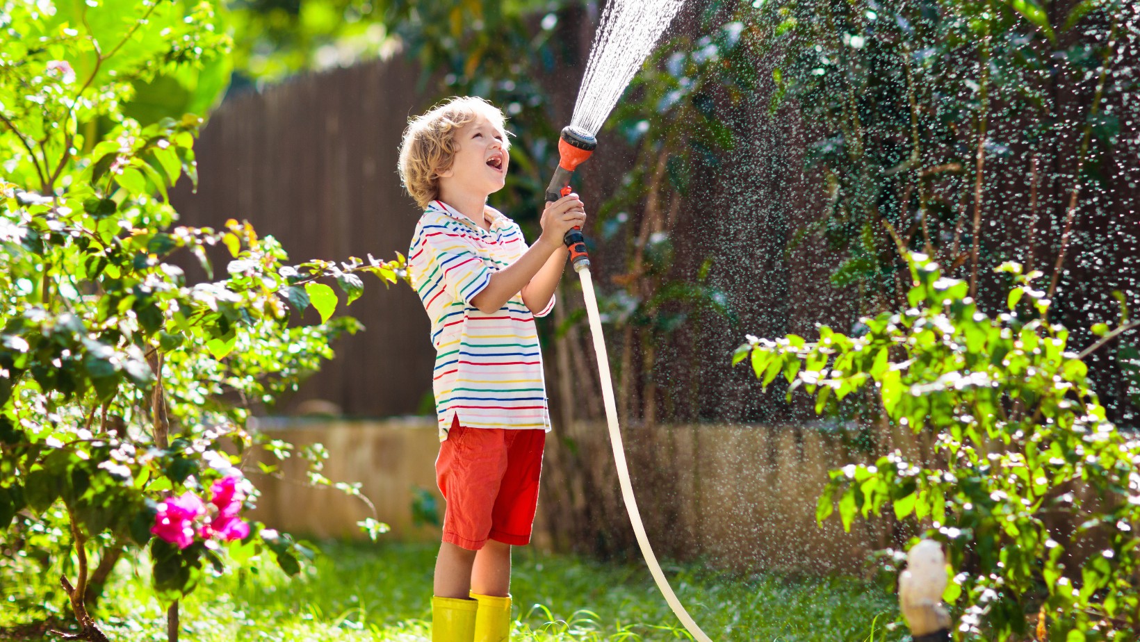 Surowe kary dla właścicieli domów z ogrodami!