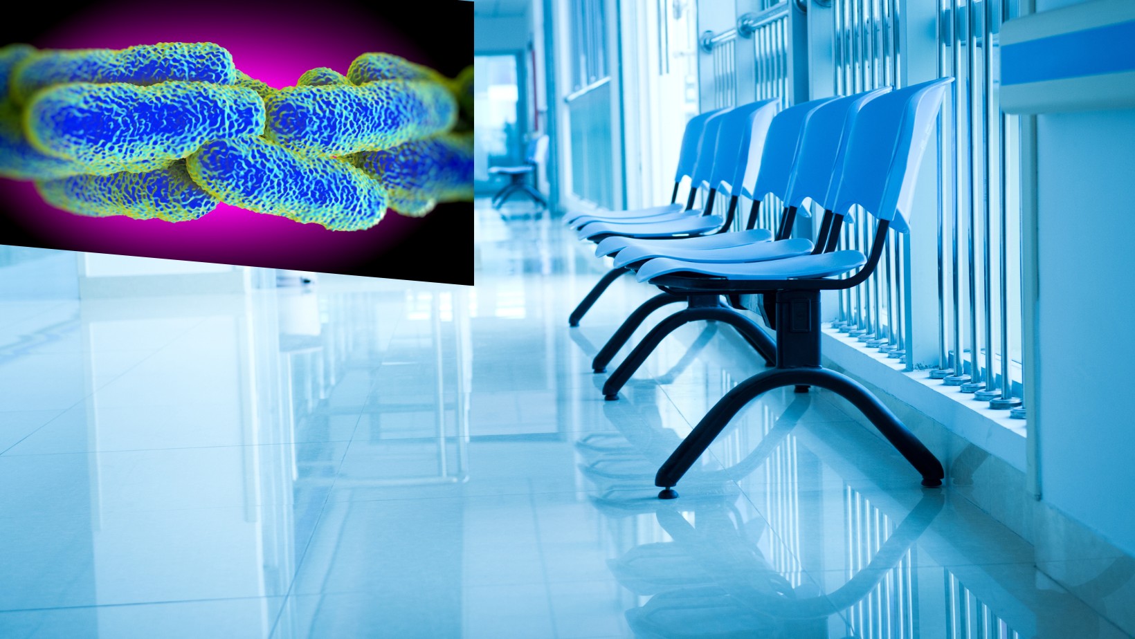 Legionella w Polsce. Już trzecia ofiara śmiertelna.  Rośnie liczba zakażeń