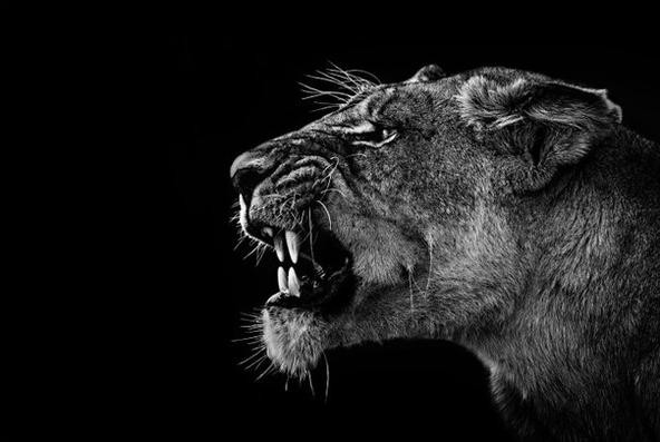 W chwili, gdy przestajesz bać się opinii innych ludzi – …