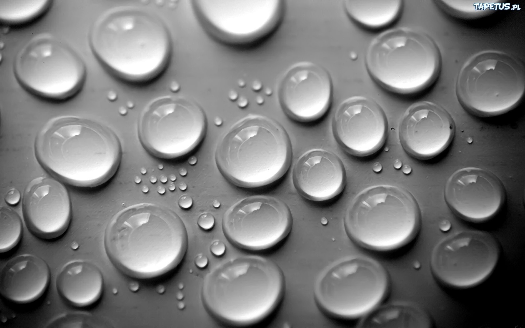 Bez limitów i bez szans Wciąż naiwnie wierzę w nas …