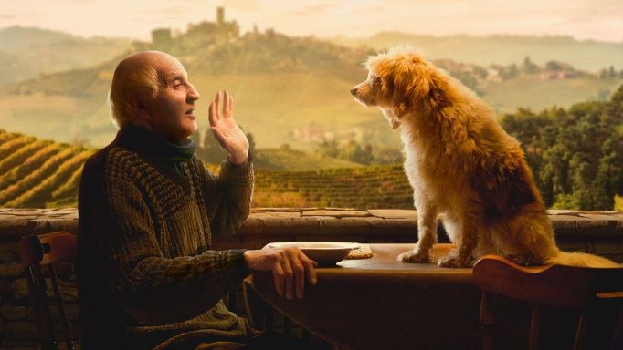 Włoski dokument o wierności psów i rzadkich truflach poruszył serca na całym świecie
