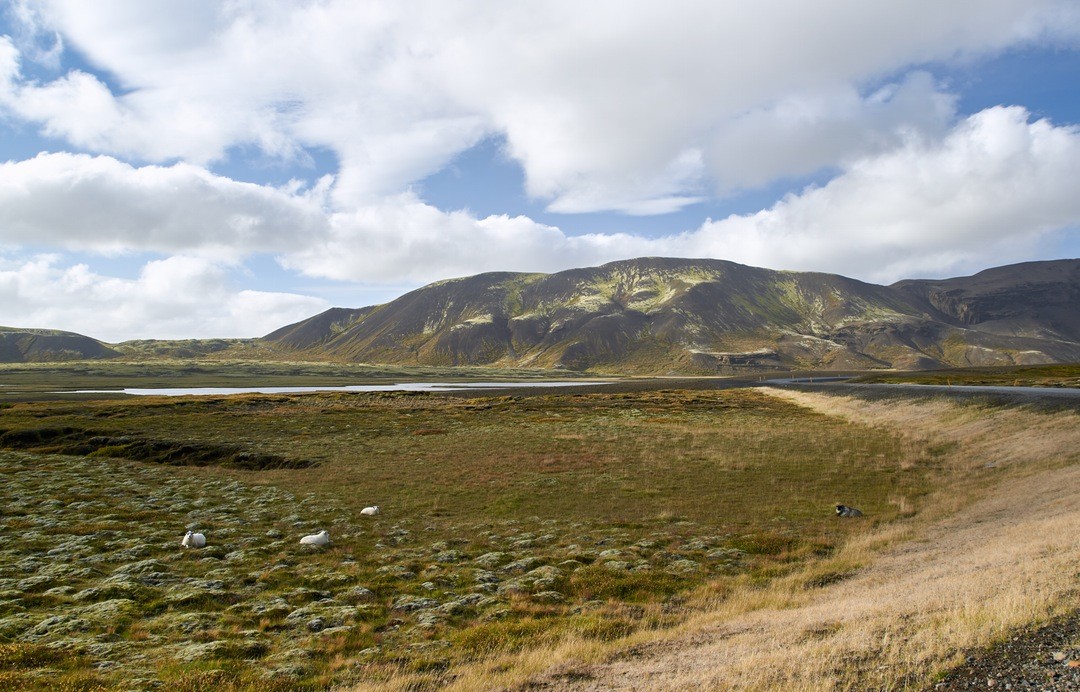 Twój głos sprzed lat powiedział mi, dlaczego ludzie mówili, że …